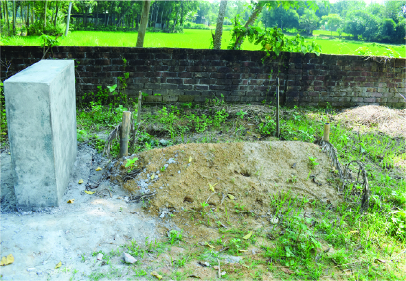 Image of মোহাম্মদ সাদিকুর রহমান